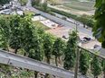 Wir suchen einen Erntehelfer im Weinberg in 53508