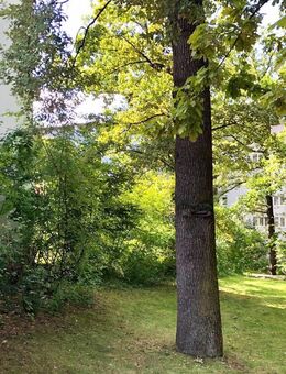 Gemütliche 2 Zi-Wohnung im Nürnberger Süden - Nürnberg