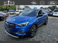 Opel Grandland X, Ultimate, Jahr 2018 - Leer (Ostfriesland)