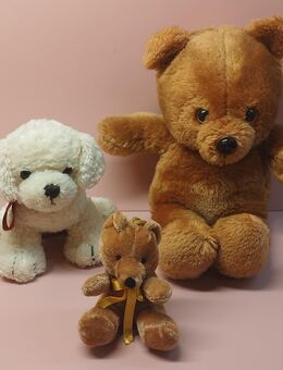 3 Kuscheltiere - 2 Teddybären + 1 Hund / Stofftiere / Spielzeug - Kerken