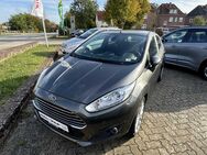 Ford Fiesta, 1.0 EcoBoost Start-Stop Titanium 8fach beheiz FS, Jahr 2016 - Eldena