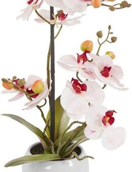 Kunstorchidee Ernestine Orchidee, Home affaire, Höhe 42 cm, Kunstpflanze, im Topf