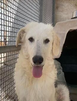 Claudio sucht das Spieleparadies - Marienfließ