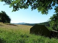 Traumhaft wohnen am Waldesrand mit herrlichem Ausblick - Trusetal Trusetal