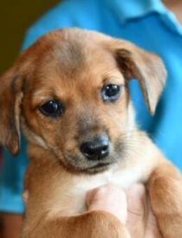 Lalla möchte Sie kennenlernen - Neuss