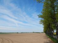 Traumhafte Lage: 8.500 m² Baugrund im Süden von Schwerin - Zülow