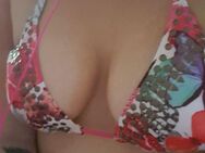 Bikini - Größe S - wie neu - Regensburg