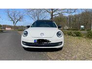 VW Beetle Fender - Dietzenbach Zentrum