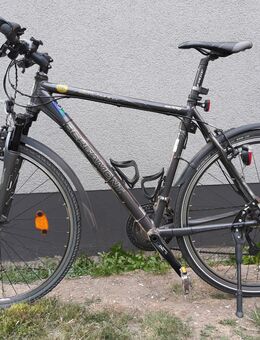 BERGAMONT Deer Hunter Crossbike - Köln