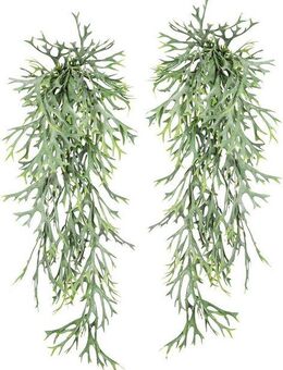 Kunstranke Geweihfarnhänger Sukkulente, Creativ green, Höhe 75 cm, 2er Set