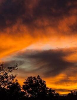 Kapitalanlage oder Eigennutzung - Sie haben die Wahl! Jetzt der erste sein und Besichtigung sichern! - Berlin