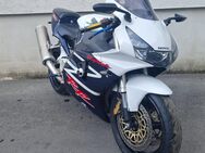 Honda Cbr 900 954 Sc 50 - Dortmund