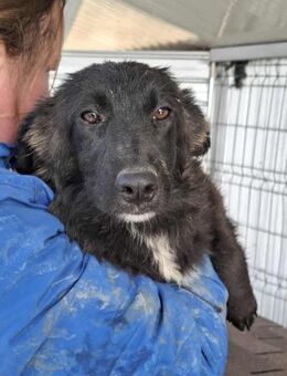 Wednesday -offen aber nicht aufdringlich - Löwenberger Land
