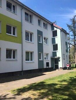 Renovierte 3-Zimmer-Wohnung mit Balkon - Delmenhorst