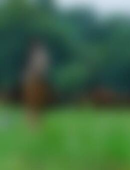 Len*** - Mallersdorf-Pfaffenberg