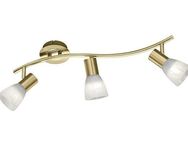 TRIO Leuchten LED Deckenstrahler LEVISTO, LED wechselbar, LED Deckenleuchte, LED Deckenlampe