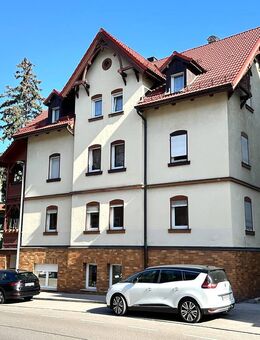 gemütliche Dachwohnung zwischen Stadtpark & Marktplatz - Schwabach