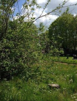 GENIESSEN SIE DIE SONNE AUF DER TERRASSE IHRES EIGENEN HAUSES! JETZT ANRUFEN: 01714863595 - Lichtenau (Sachsen)