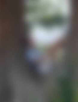 Hjö*** - Stade (Hansestadt)