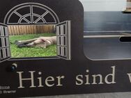 Welpenkiste Wurfkiste aus Siebdruckplatten - Espelkamp
