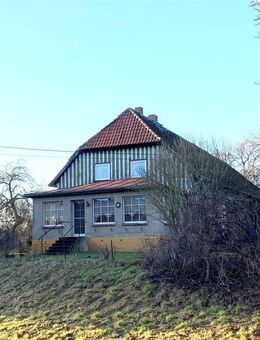 18.000 m² Hof mit beeindruckendem Bauerhaus - Diekhof