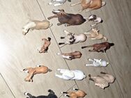 13 original Schleich Pferde, neuwertig abzugeben - Dresden