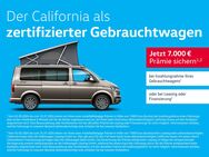 VW T6 California, 1 Ocean TDI Sideas, Jahr 2023 - Wildau