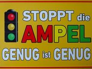 Witziges Blechschild Stoppt die Ampel - Genug ist genug Politik Regierung 20x30 cm - Hamburg