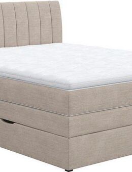 COTTA Boxspringbett Shark inkl. Bettkasten und Topper, erhältlich in den Breiten 140x200cm, 160x200cm und 180x200cm