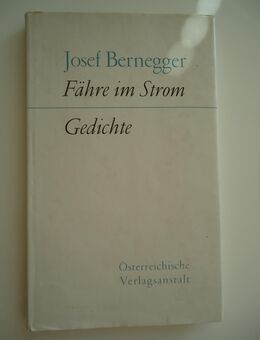 Josef Bernegger - Fähre im Strom - Freilassing Zentrum