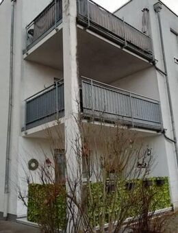 Vermietung 2 ZKB in Frankenthal - Frankenthal (Pfalz)
