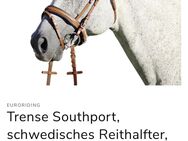 Trense Southport, schwedisches Reithalfter, British Line von Euroriding in schwarz/dunkelbraun - Herford (Hansestadt)