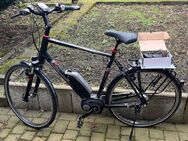 Herren E-Bike Pegasus Premio E8 F ( Freilauf ) 61 cm Rahmen - Bottrop Zentrum