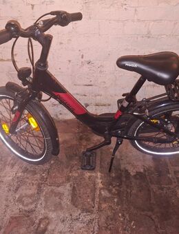 Pegasus 18 zoll - Cottbus