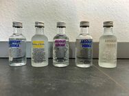 Absolut Vodka 5 x 50 ml - verschiedene Sorten - Five Pack ohne Verpackung - Alkohol - Wülfrath Zentrum