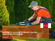 Gärtner*in (m/w/d) im Bereich Garten- und Landschaftspflege - Mainz
