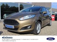 Ford Fiesta 1.4 Titanium Bluetooth Winterpaket - Bad Lobenstein