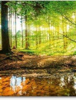 Artland Glasbild Wald mit Bach, Wald (1 St), in verschiedenen Größen