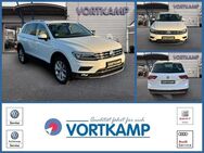 VW Tiguan, Highline, Jahr 2020 - Gronau (Westfalen)