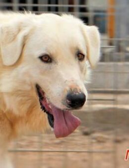 NIX - offen und freundlich - Regensburg