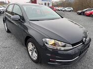 VW Golf, 1.6 TDI VII Comfortline PDCvo hi Front Business-Paket Massagefunktion, Jahr 2019 - Boxberg (Baden-Württemberg)