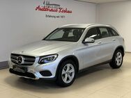 Mercedes GLC 250, Assistenz Paket, Jahr 2017 - Delligsen