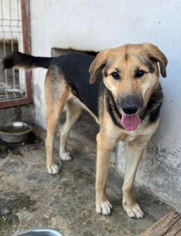 Die lustige Claudi sucht ihre Menschen - Großefehn