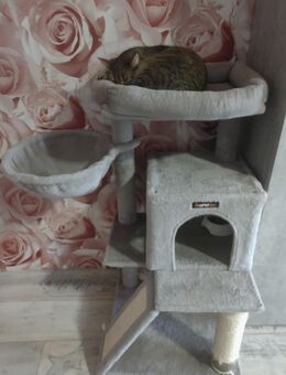 Bkh-Ekh-Mix - Kassel Niederzwehren