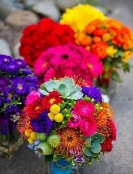 Hier können zwei Familie toll leben - Hildesheim