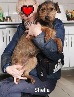 Shella hübsch und unkompliziert - Wettenberg