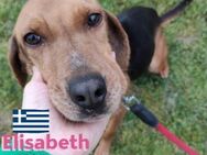 Elisabeth, 01/21-sportliches Mädel sucht - Heppenheim (Bergstraße)