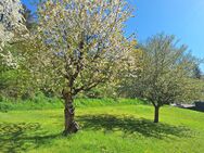 Sonniges Baugrundstück in Coburg/Creidlitz - Coburg