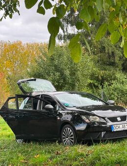 Seat İbizia 2016 - Höchberg
