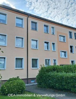 Charmante 3-Raumwohnung in Stralsund zu vermieten! - Stralsund